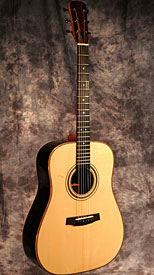 guitar model