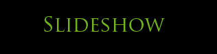 Slide Show